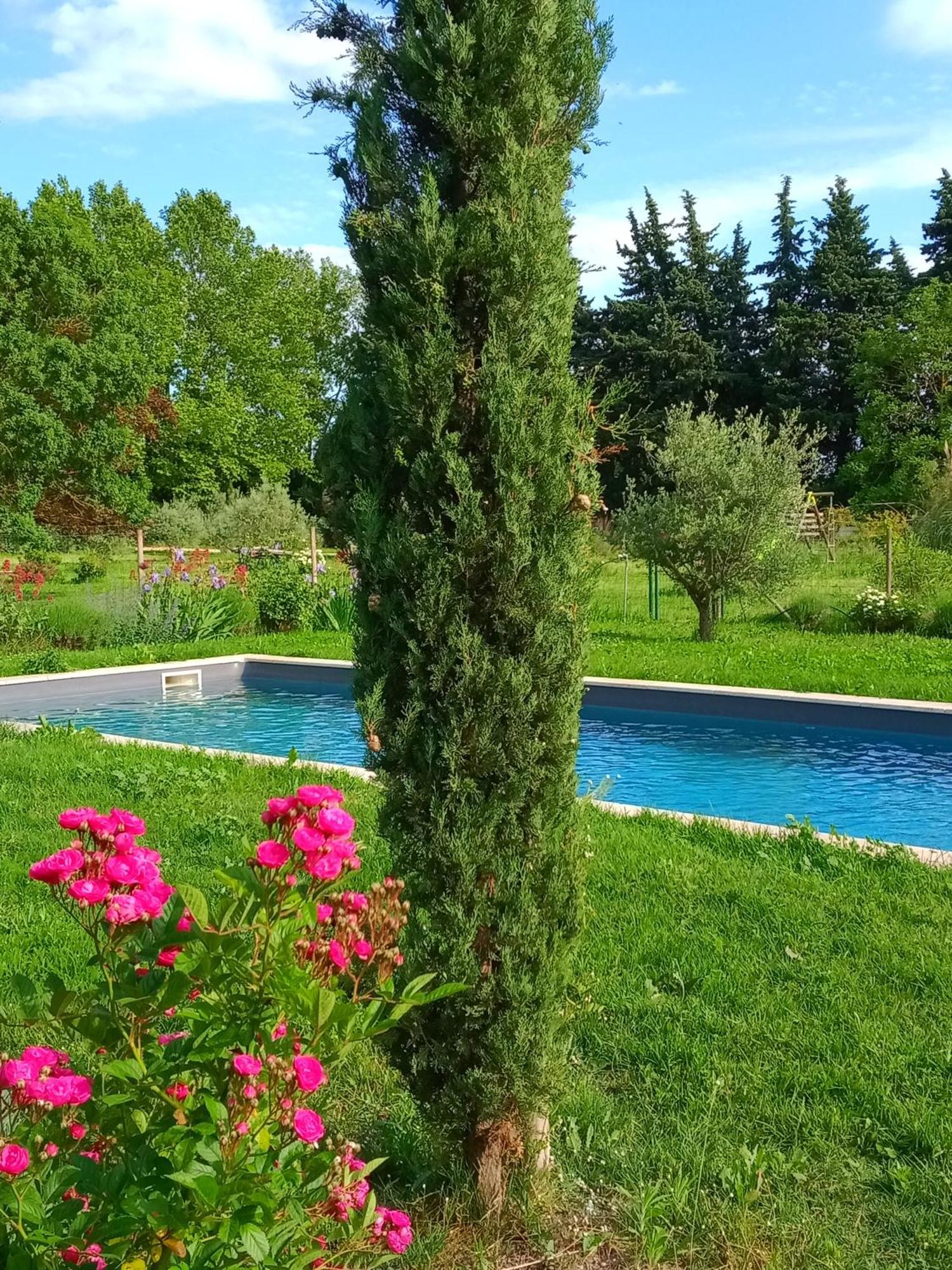 Mas De Karlotte Apartment Pernes-les-Fontaines Exterior photo
